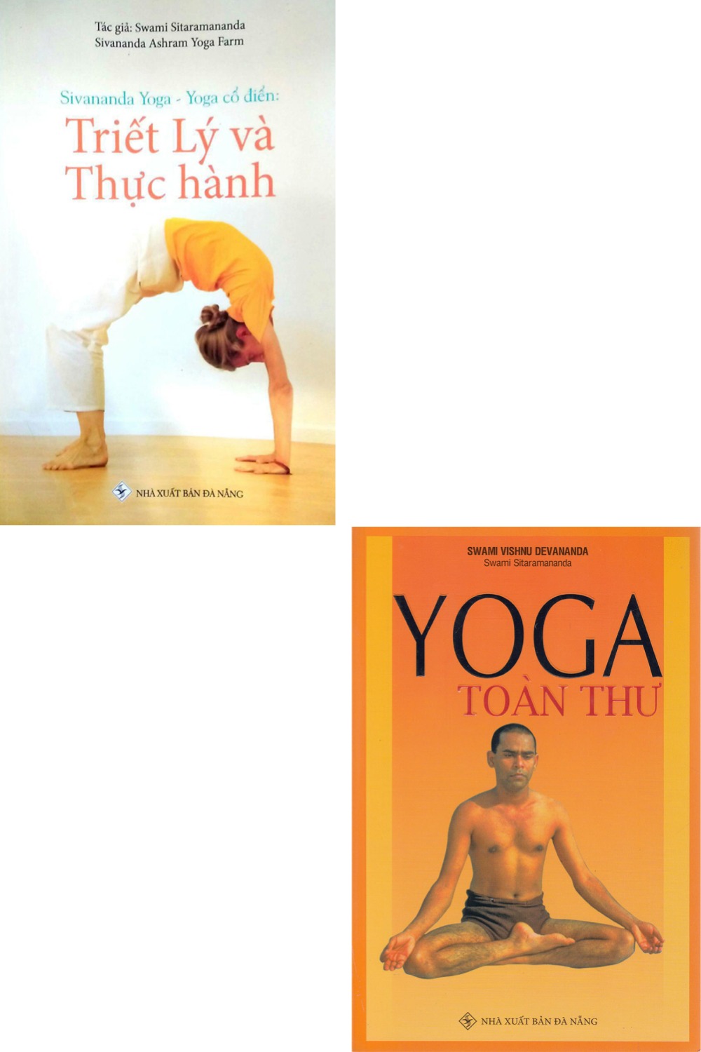 Combo Yoga Cổ Điển - Triết Lý Và Thực Hành + Yoga Toàn Thư (Bộ 2 Cuốn) _QB