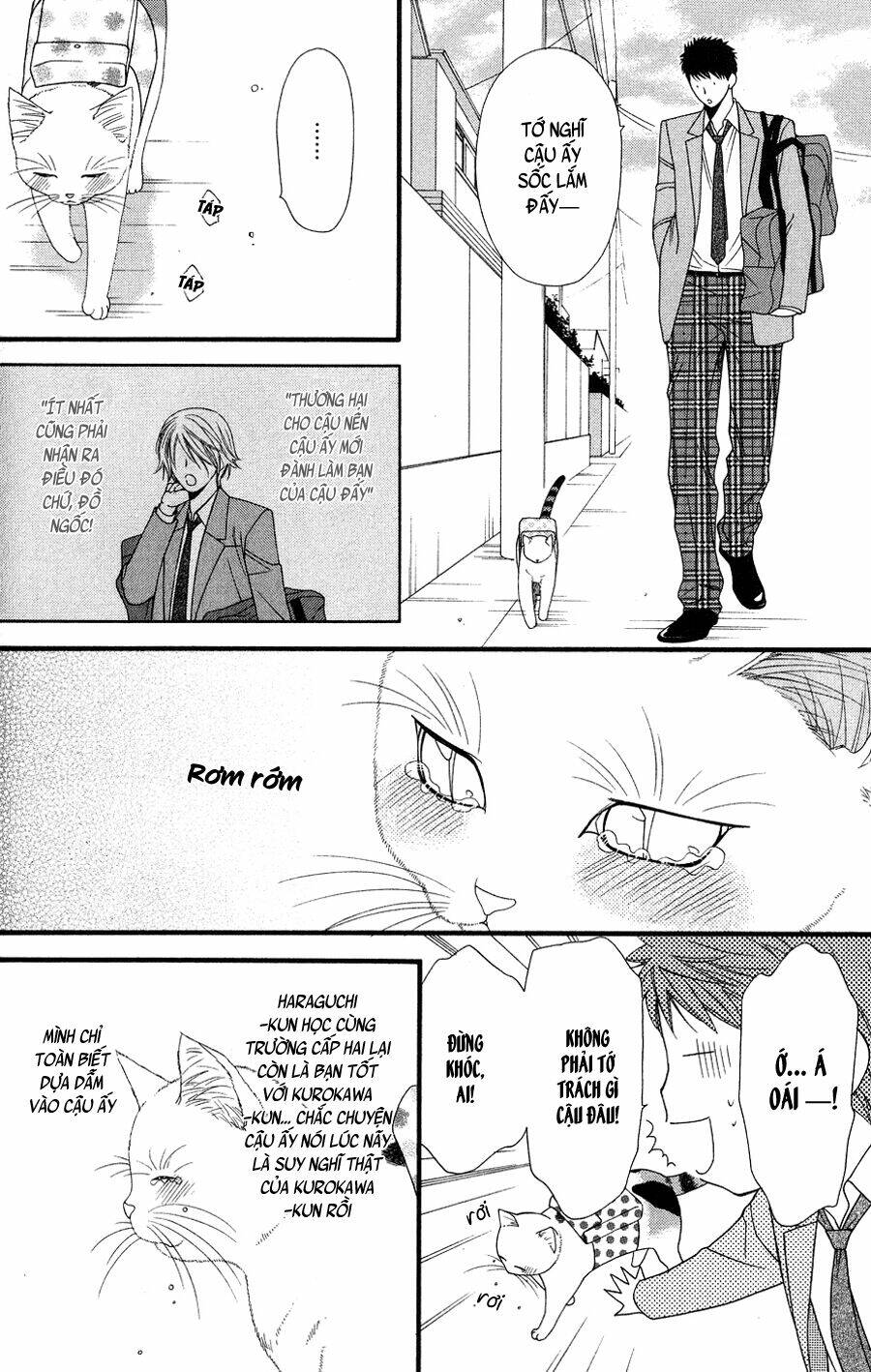 neko neko honey chapter 9 7