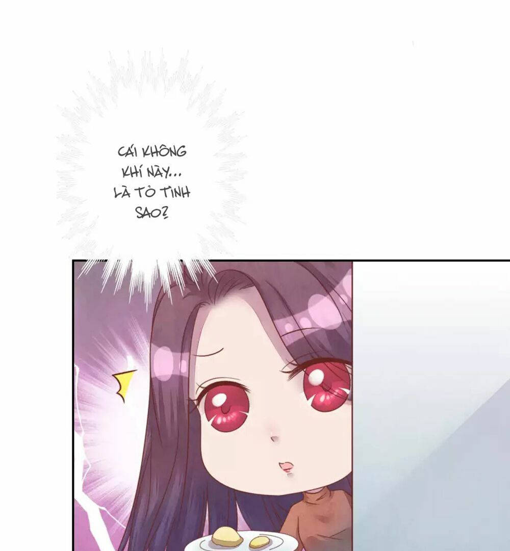 đào tạo nuôi dưỡng bạn trai mèo chapter 43 25