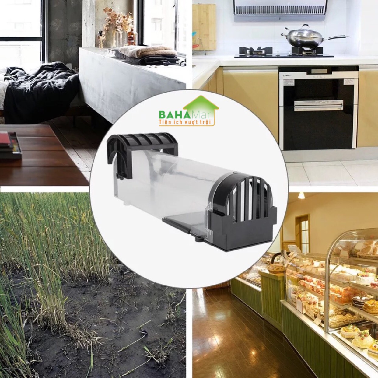 BẪY CHUỘT THÔNG MINH NHÂN ĐẠO TỰ ĐỘNG KHÓA "BAHAMAR" dụ chuột vào và khóa lại để chuột không thoát ra được và yếu dần