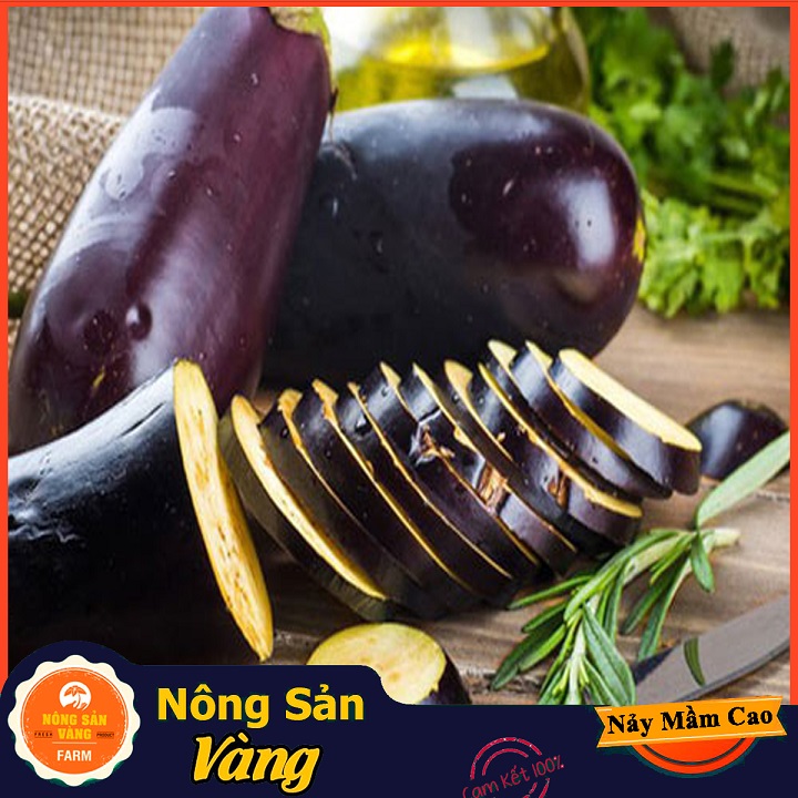 Hạt giống Cà Tím Quả Lê - Nông Sản Vàng
