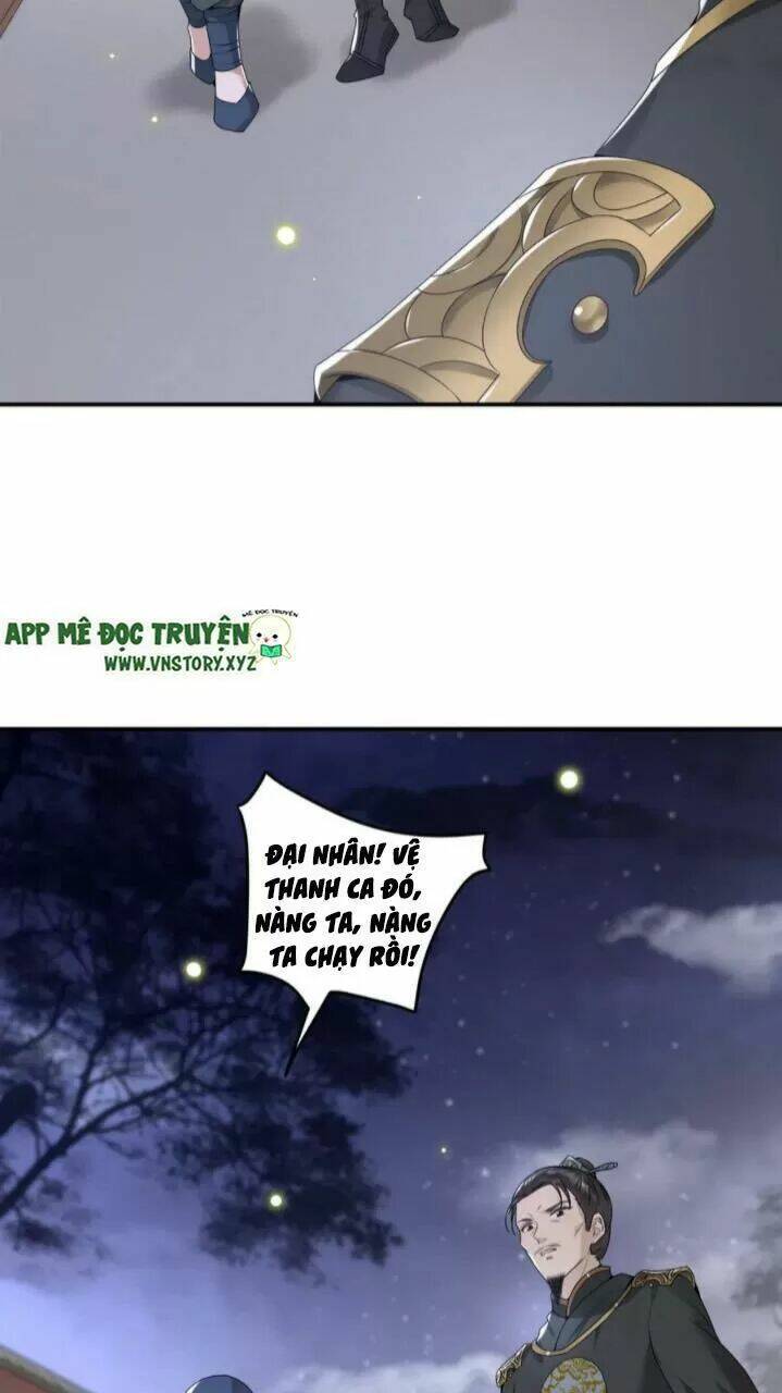 phượng hoàng vu phi chapter 64 32