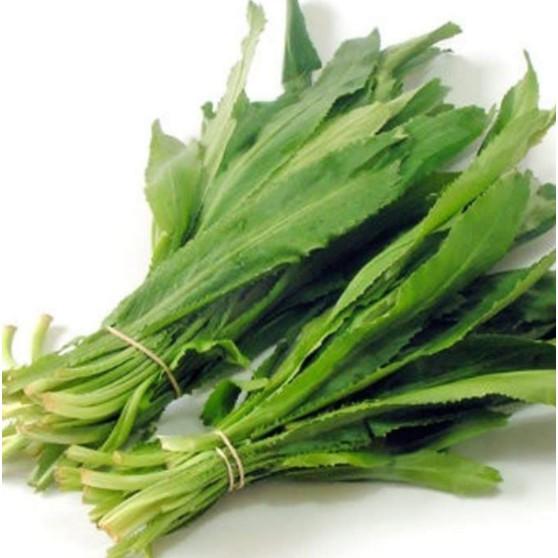 2gr hạt giống ngò gai Mùi tàu