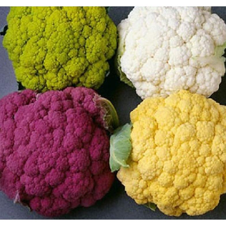 Combo 4 gói hạt giống súp lơ các loại-gói 1gram-tặng kèm gói phân bón lót