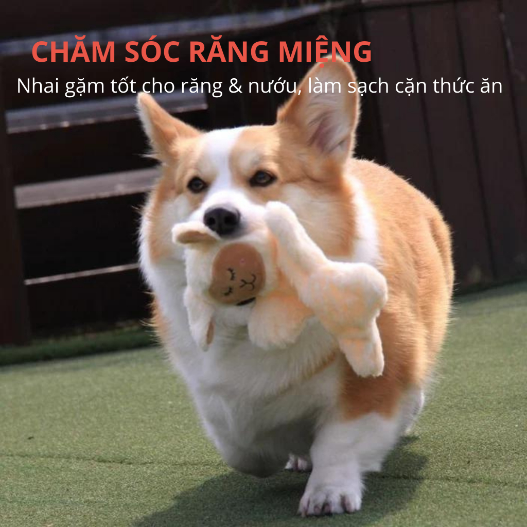 Đồ chơi cho chó FOFOS, Đồ chơi thú bông nhai gặm hình cừu, Có loa nhỏ và giấy nhăn, Vải nhung mềm mại tốt cho răng nướu