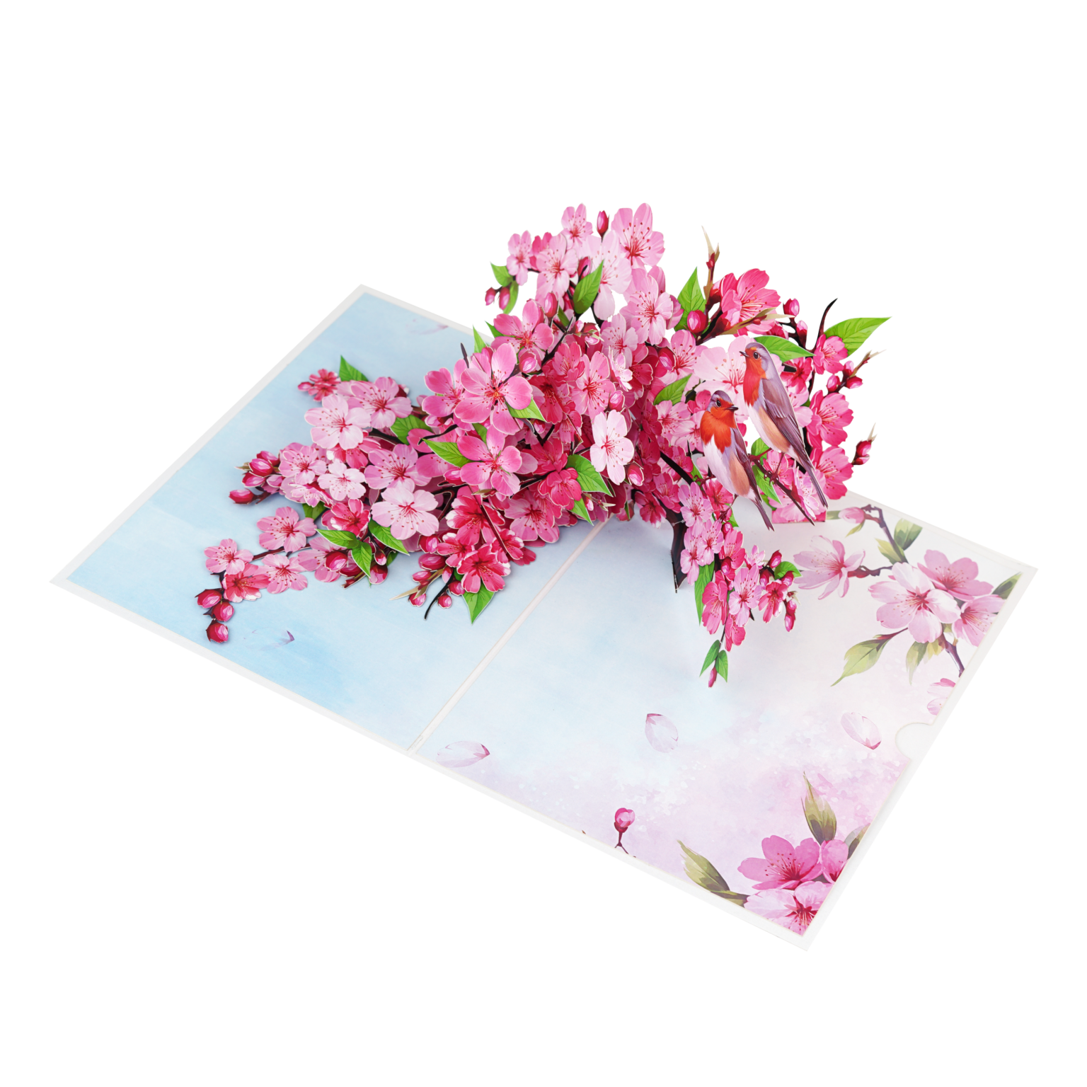 Thiệp 3D Pop Up Hoa Anh Đào &amp; Chim – Thiệp Nghệ Thuật, Thiệp Chúc Mừng, Sinh Nhật, Nhật Bản, F50