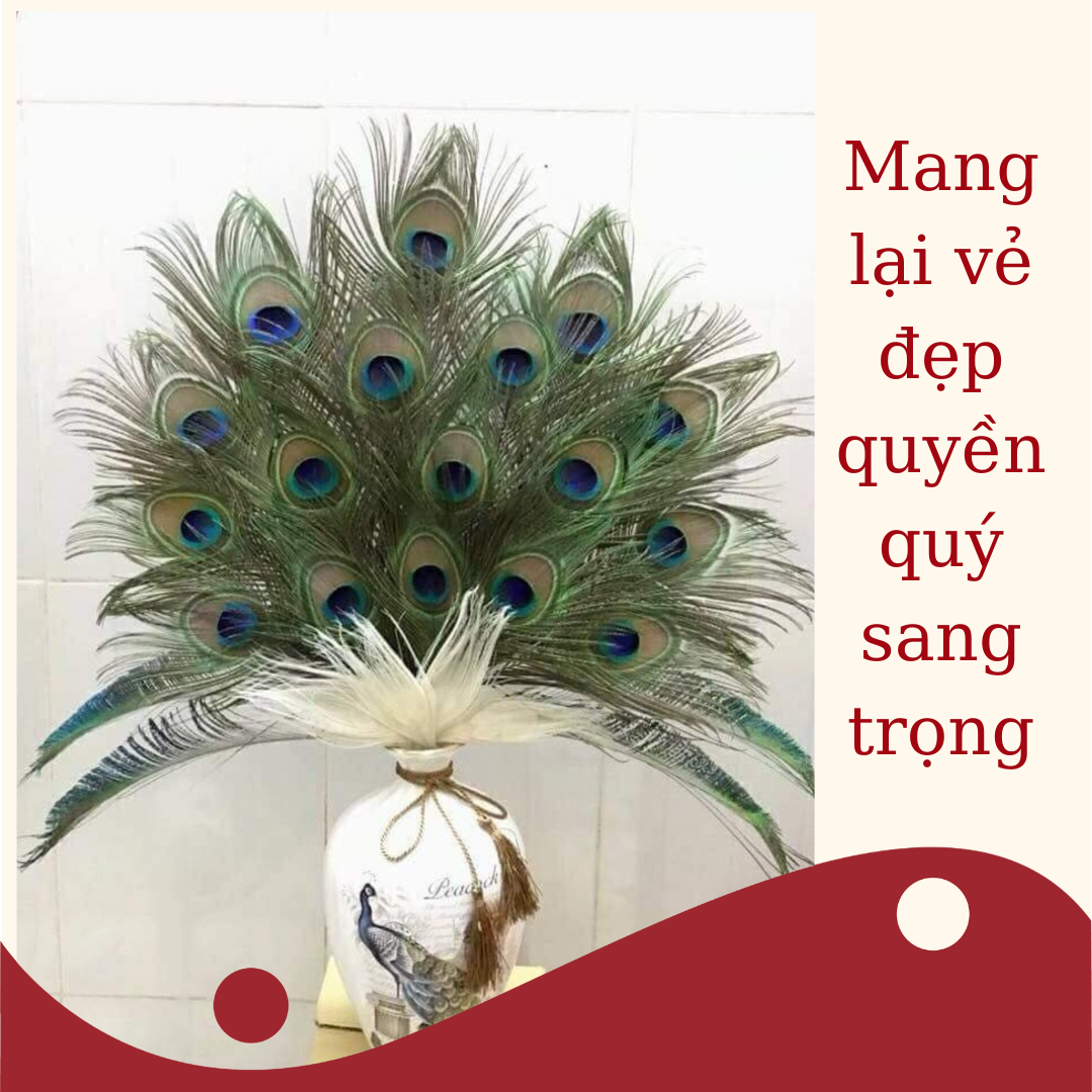 Bộ 20 lông công phong thuỷ dài 90-100cm | Vật phẩm phong thuỷ