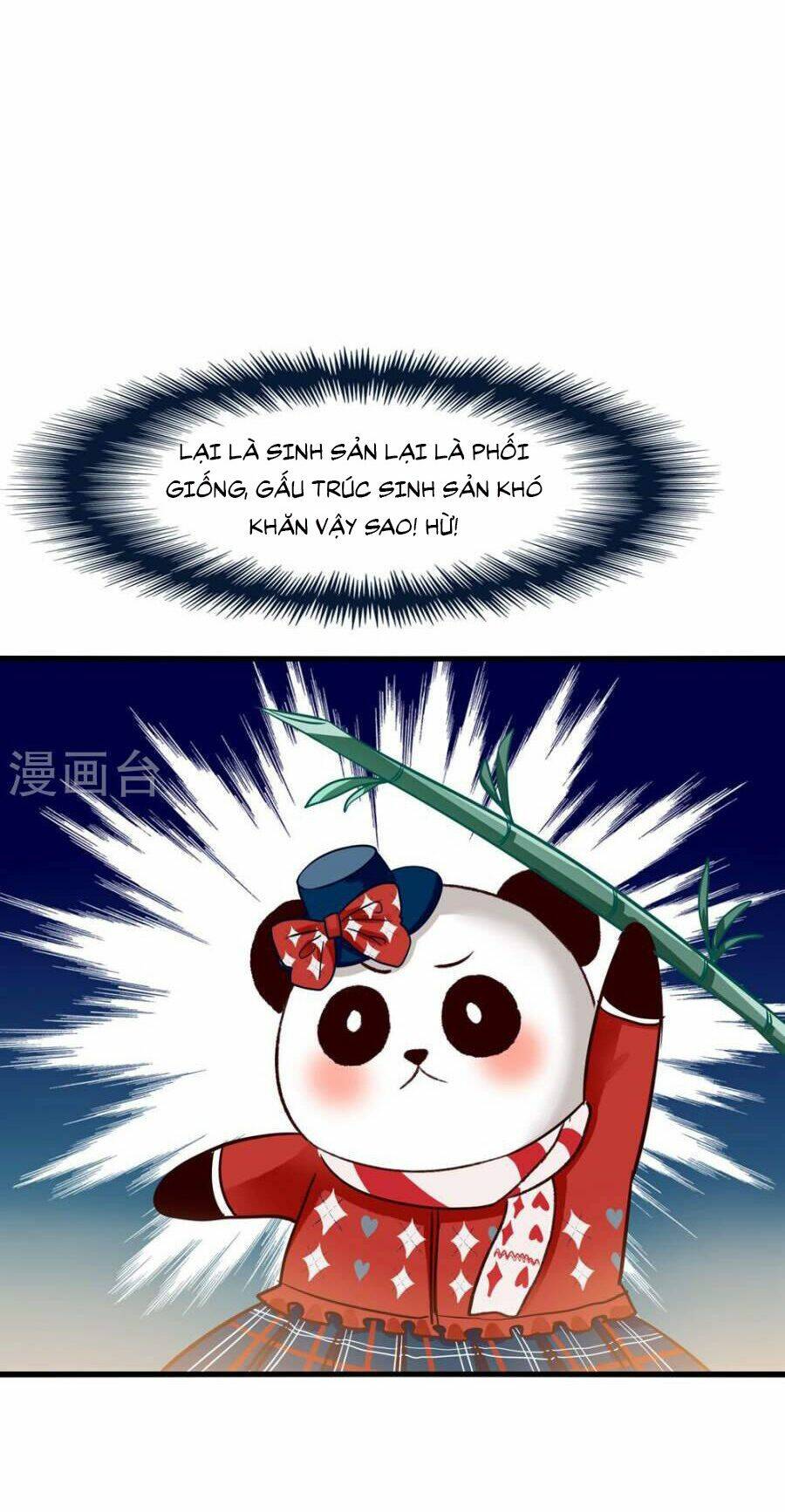 tôi bị gấu trúc nhìn trúng rồi chapter 5 5