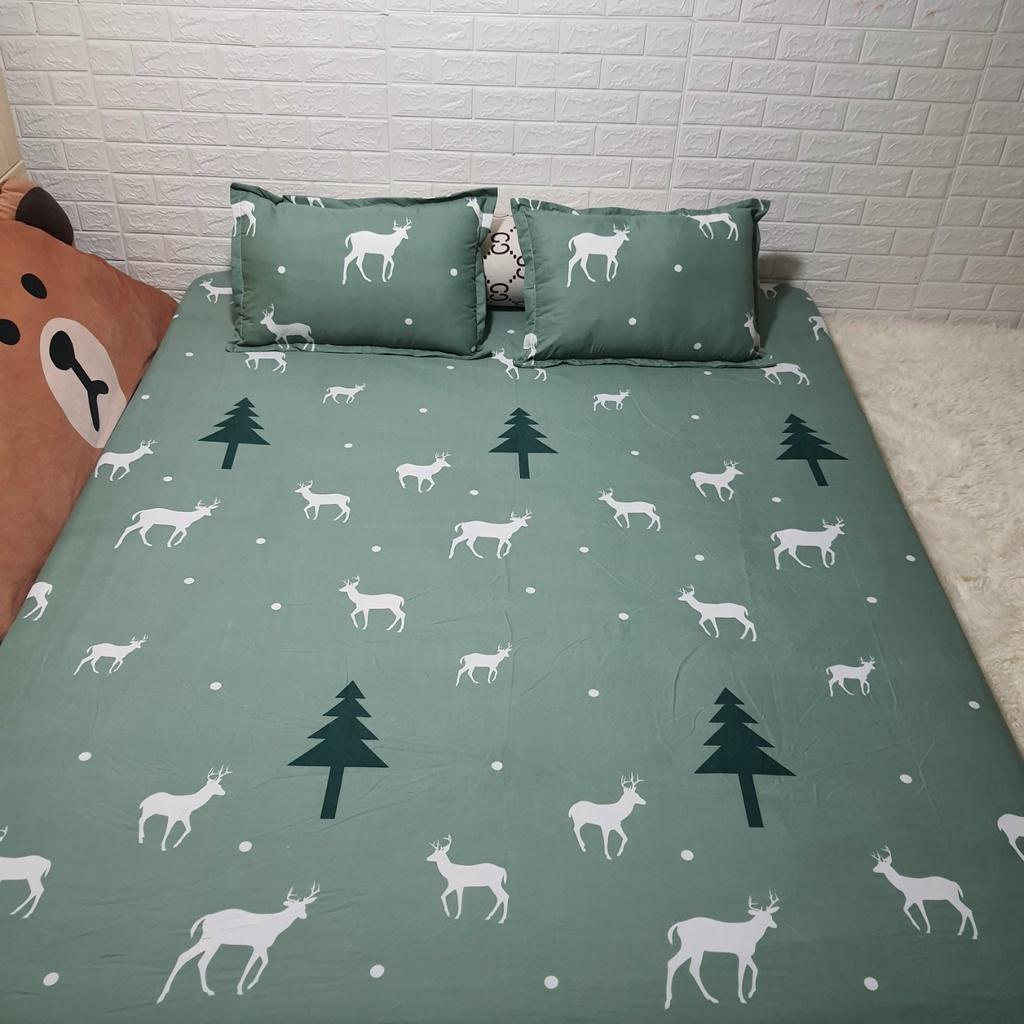Bộ ga gối 4 món mẫu Hoa Hướng Dương m2/m6/m8/2m2, drap bo chun + 2 vỏ gối poly cotton, ga giường giá rẻ