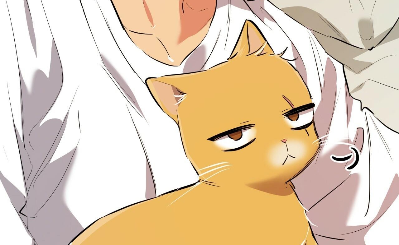 những chú thỏ của hapypy chapter 52 67