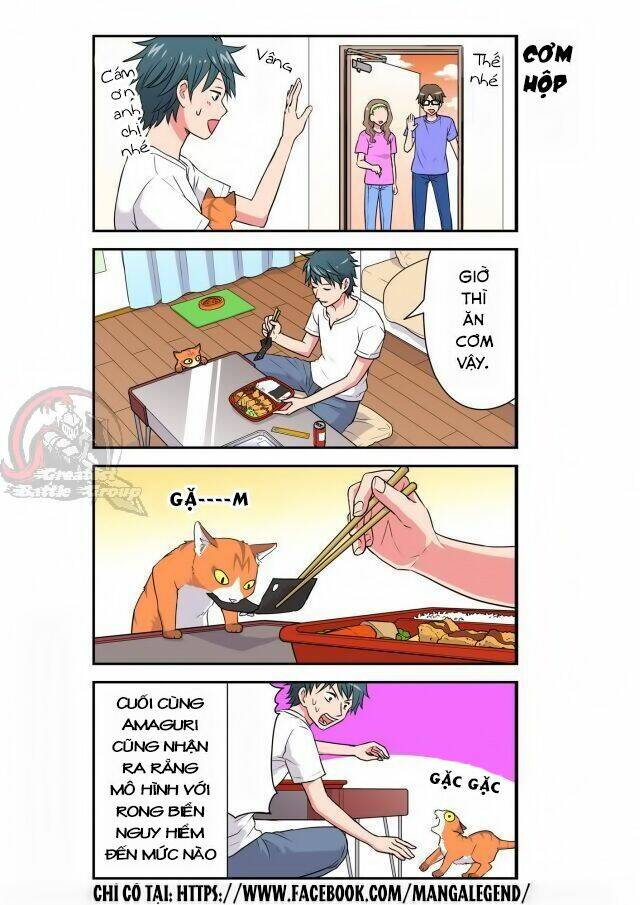 cat is silver vine chapter 29 8