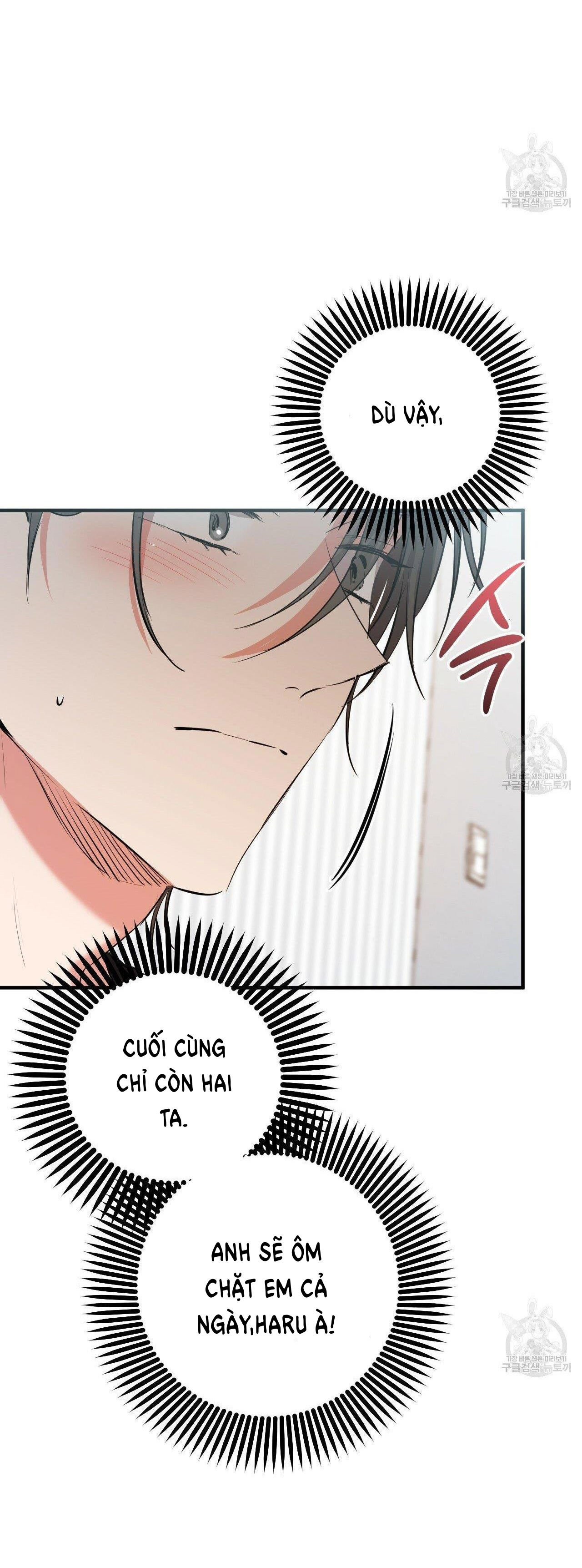 những chú thỏ của hapypy chapter 52.1 11