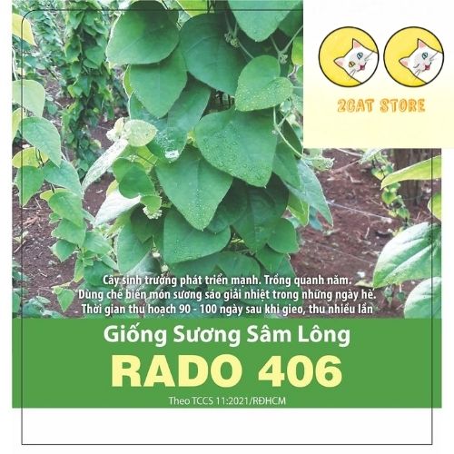 Hạt Giống Sương Sâm Lông Rado 406 gói 10 hạt Dễ trồng