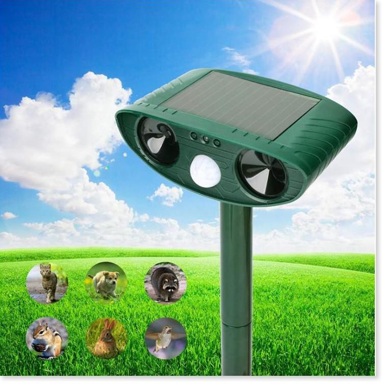 Máy đuổi chim Repeller Solar - Gia Dụng SG