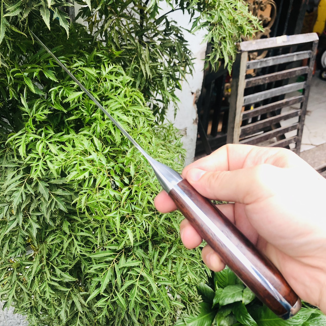 Siêu phẩm dao thái Nhật Akatsuki cán đỏ