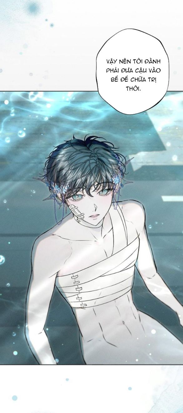 chàng tiên cá mắc kẹt trong hồ của tôi chapter 7.1 3