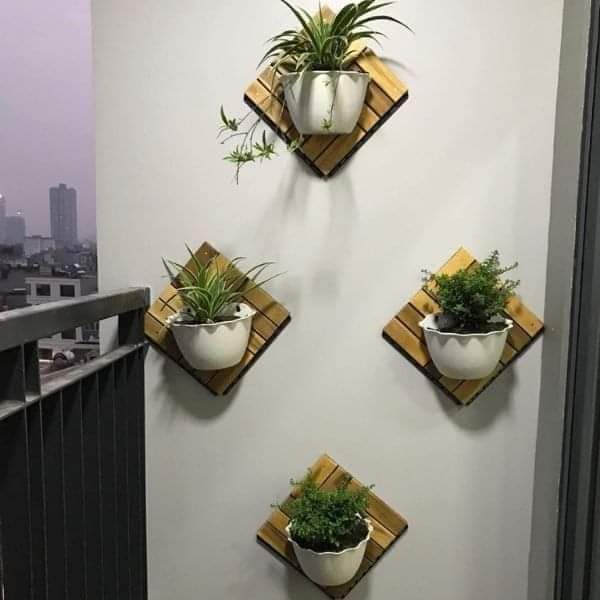 10 chậu áp tường siêu đẹp, chậu treo tường