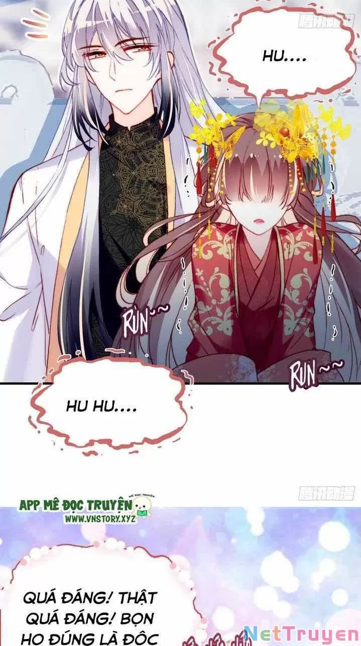 lại bị bệnh chiều chuộng quấn lấy chapter 4 24