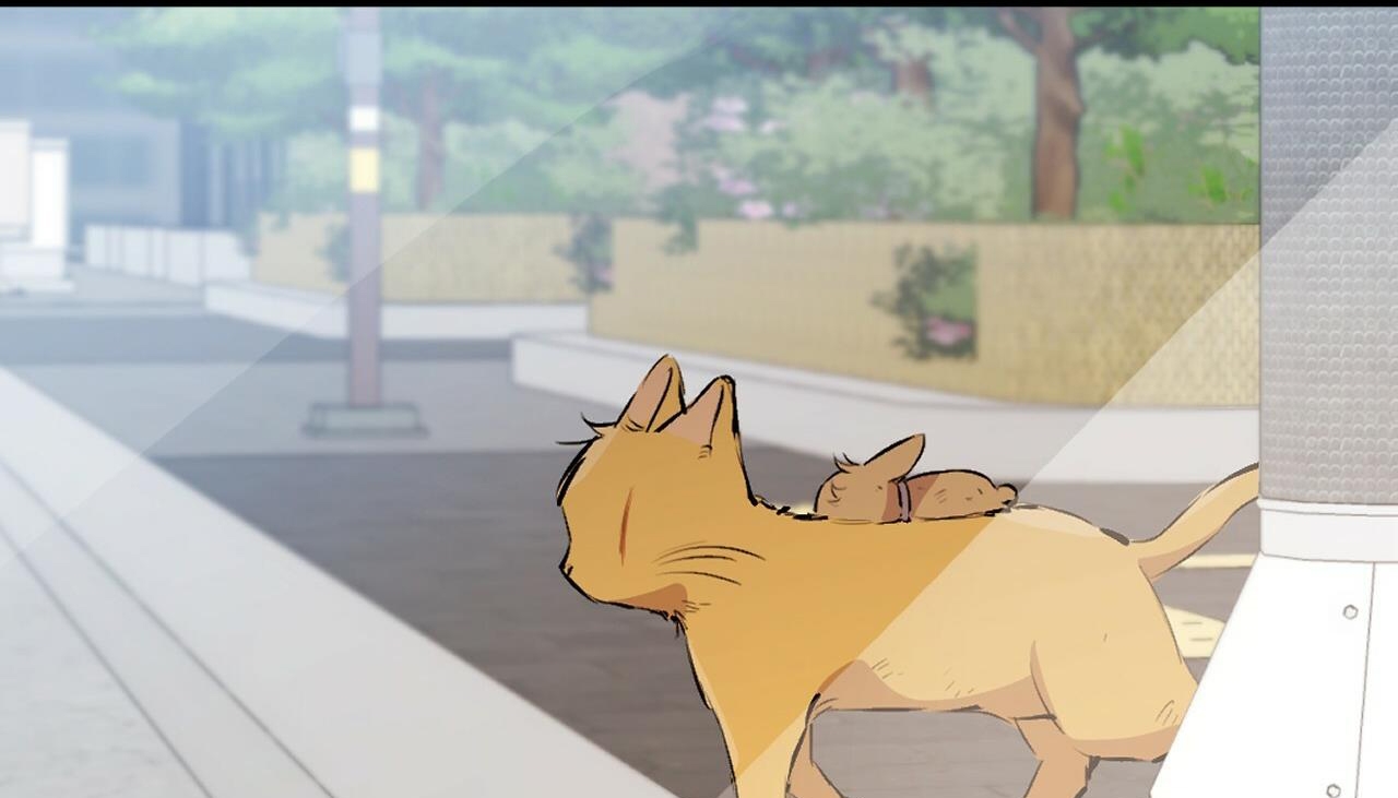 đàn thỏ của habibi chapter 50 116