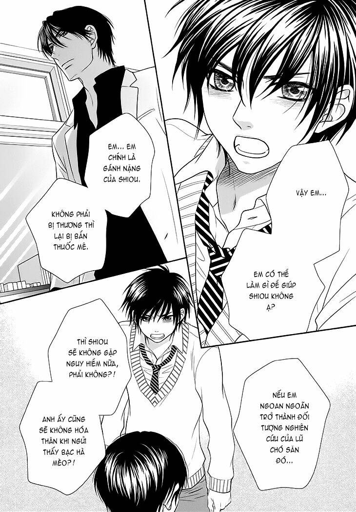 nekoka danshi no shitsukekata chapter 12 16