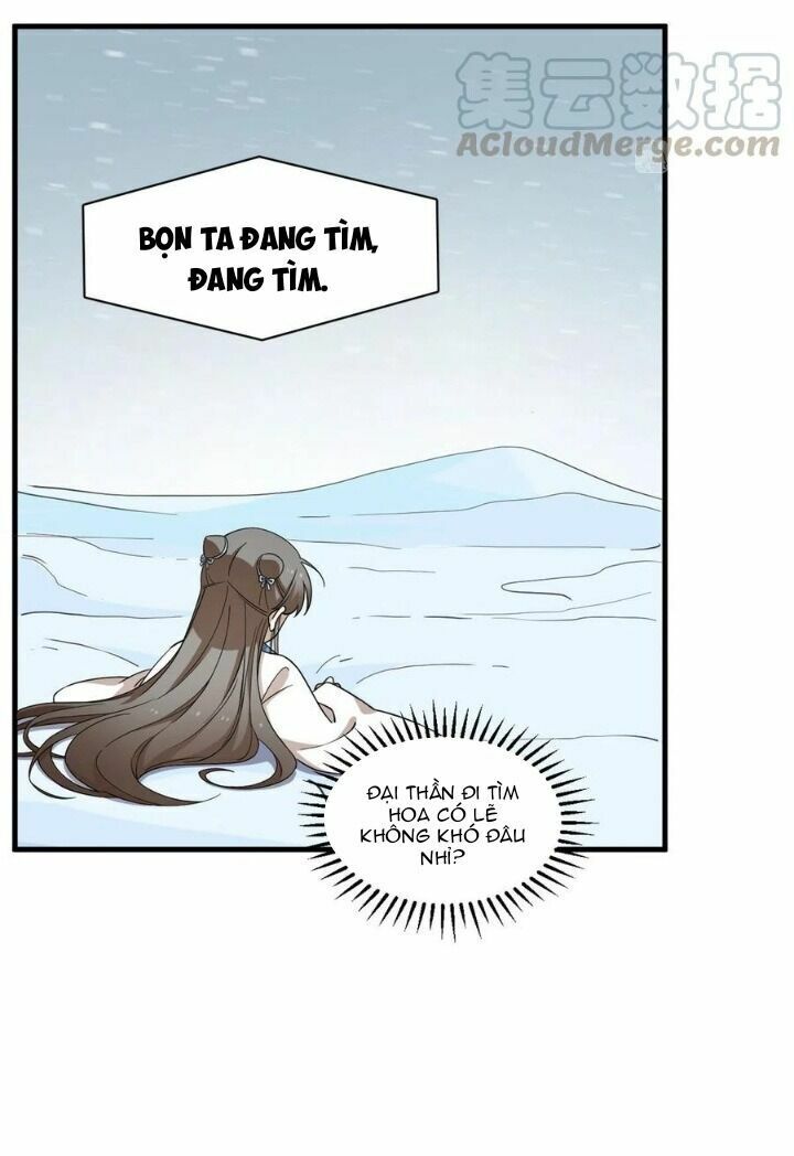 độc bộ thiên hạ: đặc công thần y chapter 252 13