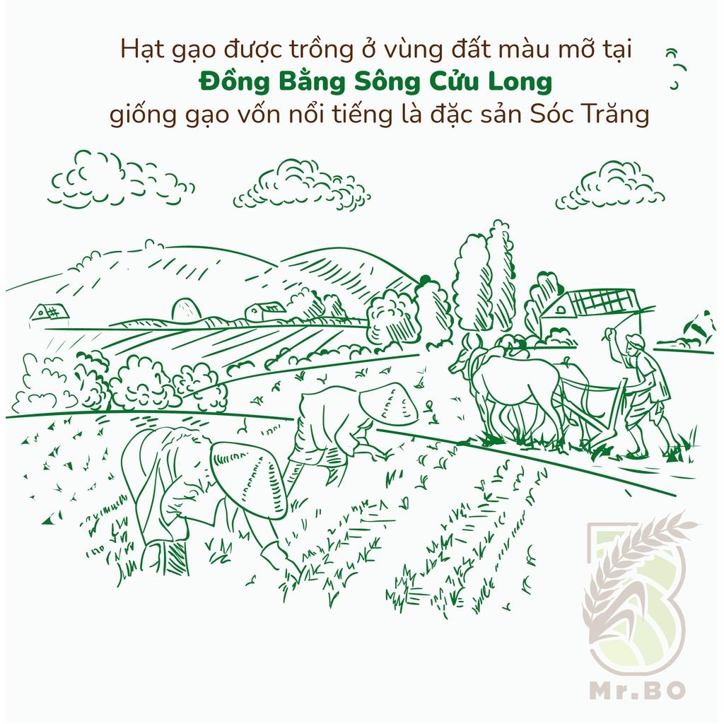 Gạo Đài thơm ĐT8 Mr. Bo túi 5kg thơm nhẹ, ngọt dẻo mềm cơm