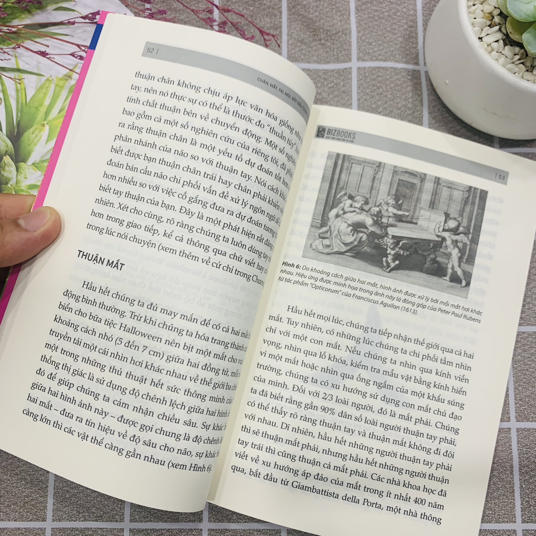 Não Trái - Não Phải: Và Cách Chúng Ảnh Hưởng Đến Hành Vi Hằng Ngày Của Chúng Ta