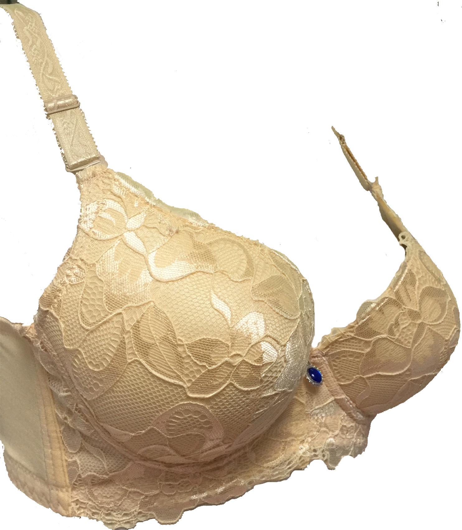 ÁO LÓT bảng to ba móc form bự mút dày tạo khe mã EC2634