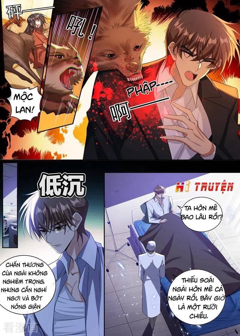 thiếu soái! vợ ngài lại bỏ trốn chapter 349 6