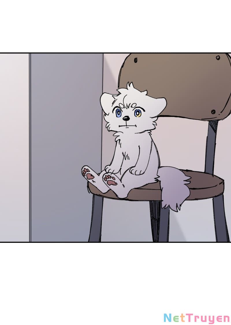 lumine - cội nguồn ánh sáng chapter 113 9