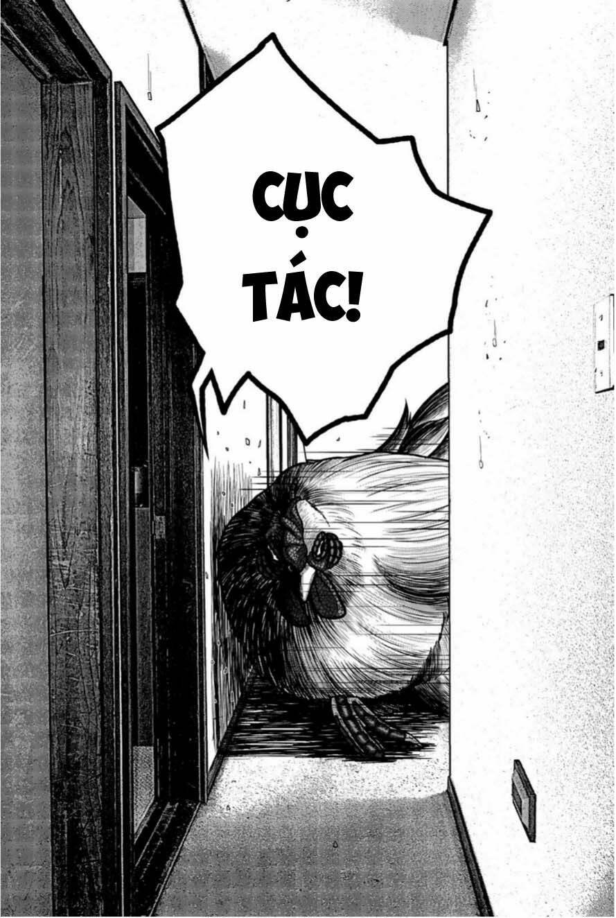 tiếng gáy sát thủ chapter 12 16