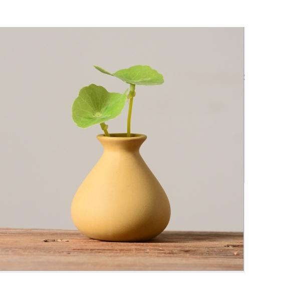 Chậu bình mini trồng cây, trang trí kệ tượng- decor không gian tiểu cảnh