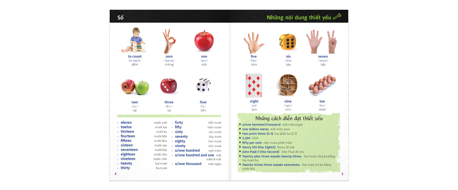 Từ Điển Trực Quan Bỏ Túi Anh-Việt - ảnh 12