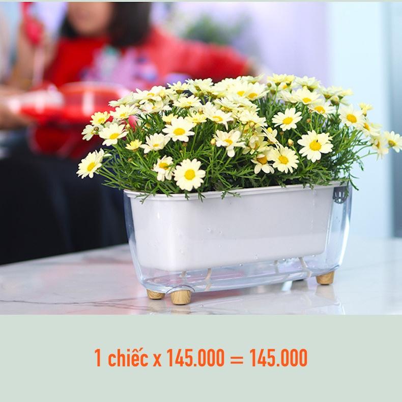 Chậu cây để bàn Oliz Gerta 211. Chậu trồng cây có chức năng tự tưới màu trắng trong