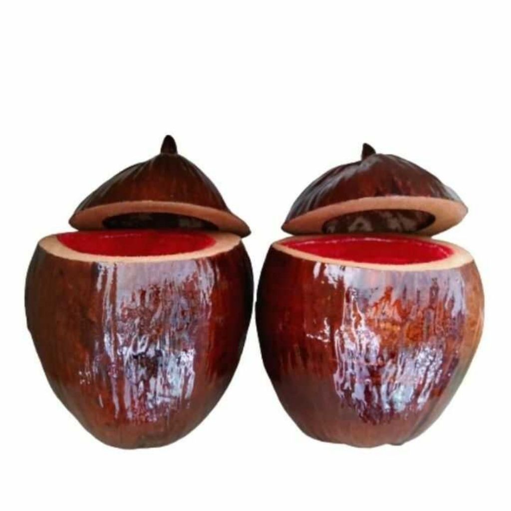 Vỏ Bình Trà Trái Dừa Có Sơn Bóng Màu Nâu Đỏ Và Bình Trà 1,0 - 1,2lít - Sản Phẩm Được Sản Xuất Tại Bến Tre