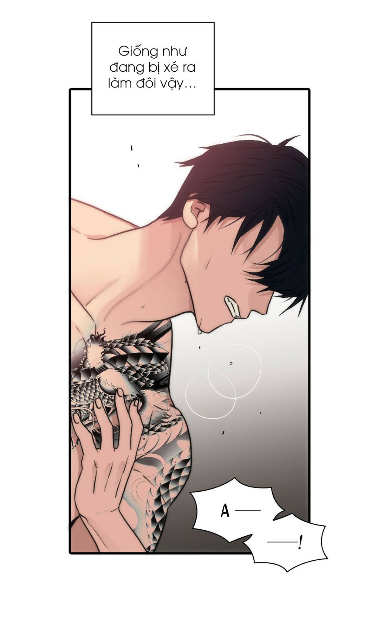 giai điệu của ngôn ngữ chapter 27 48