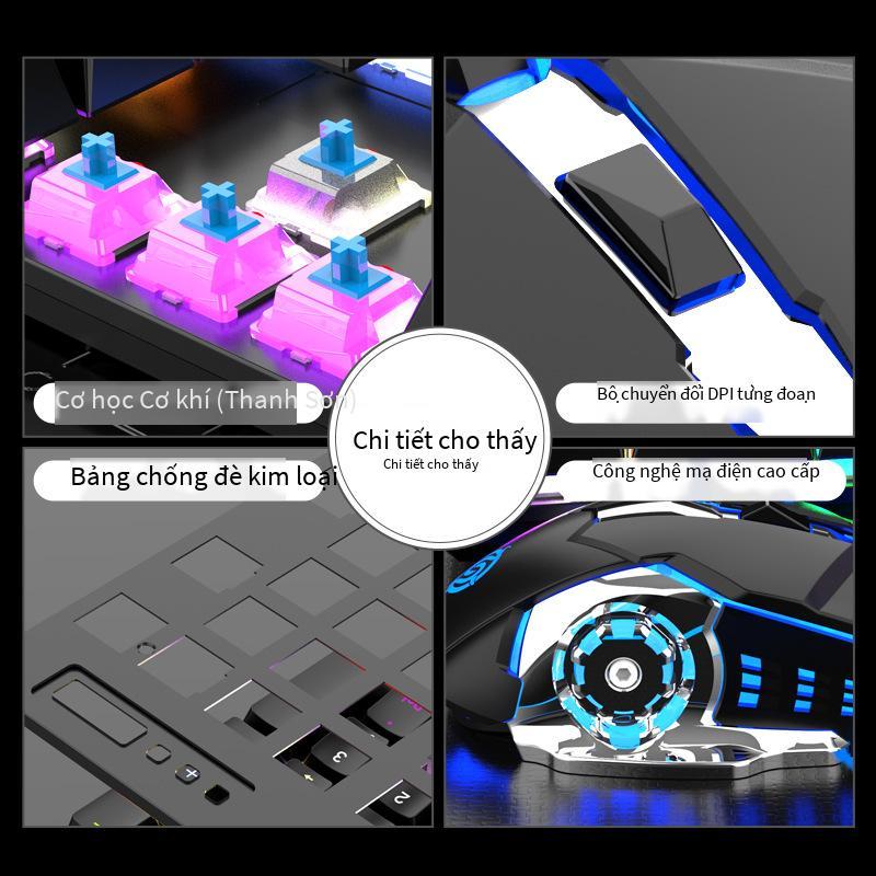 Phong cách mới nhất thương mại điện tử trục xanh bàn phím cơ USB có dây phát sáng bàn phím máy tính trò chơi bộ chuột CF ăn gà LOL