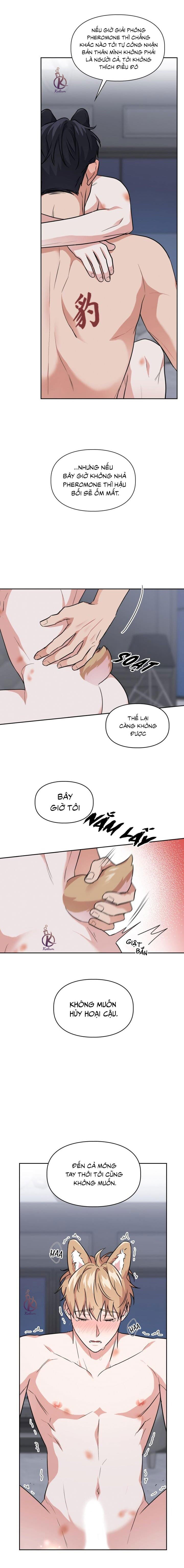 mồi nhử chapter 64 12