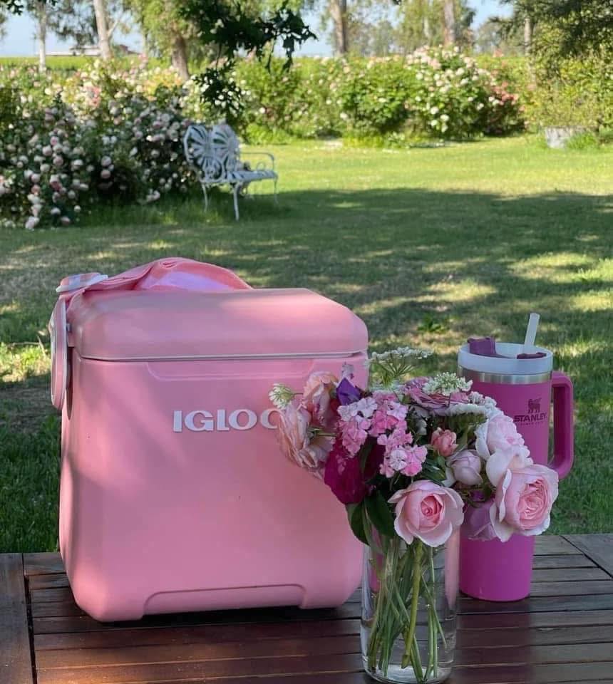 Hộp giữ lạnh Igloo xịn xò hàng chính hãng