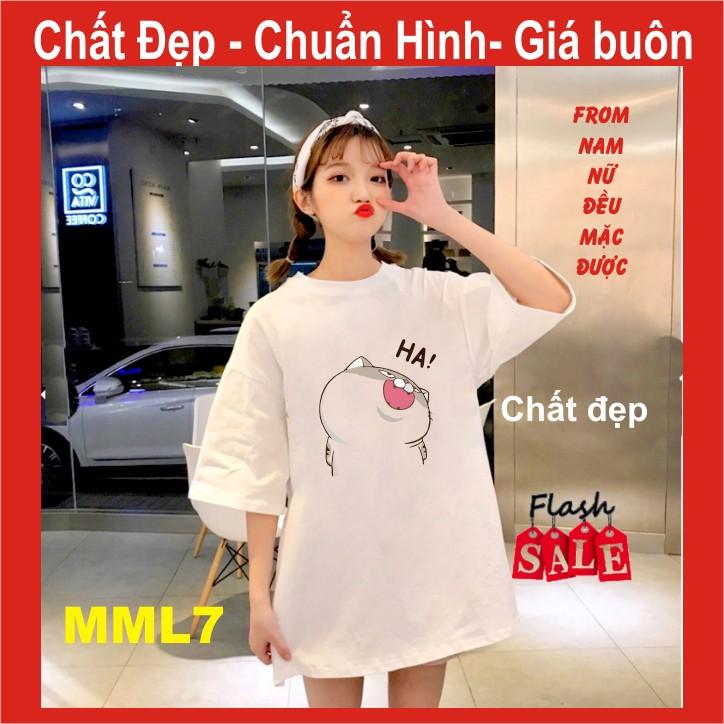 Áo thun mèo cat ami bụng bự M18,UNI SIZE FREE SIZE ,tay lỡ