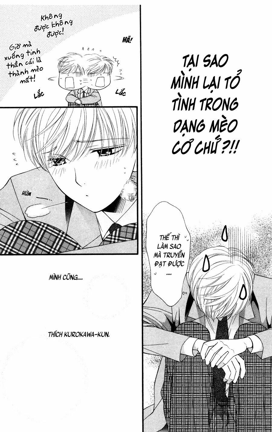 neko neko honey chapter 10 5