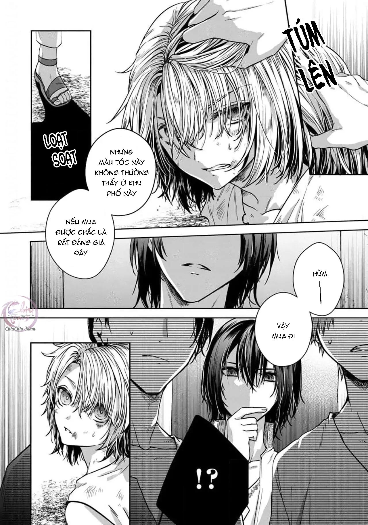 bướm trên sa mạc khao khát bị bắt chapter 5 2