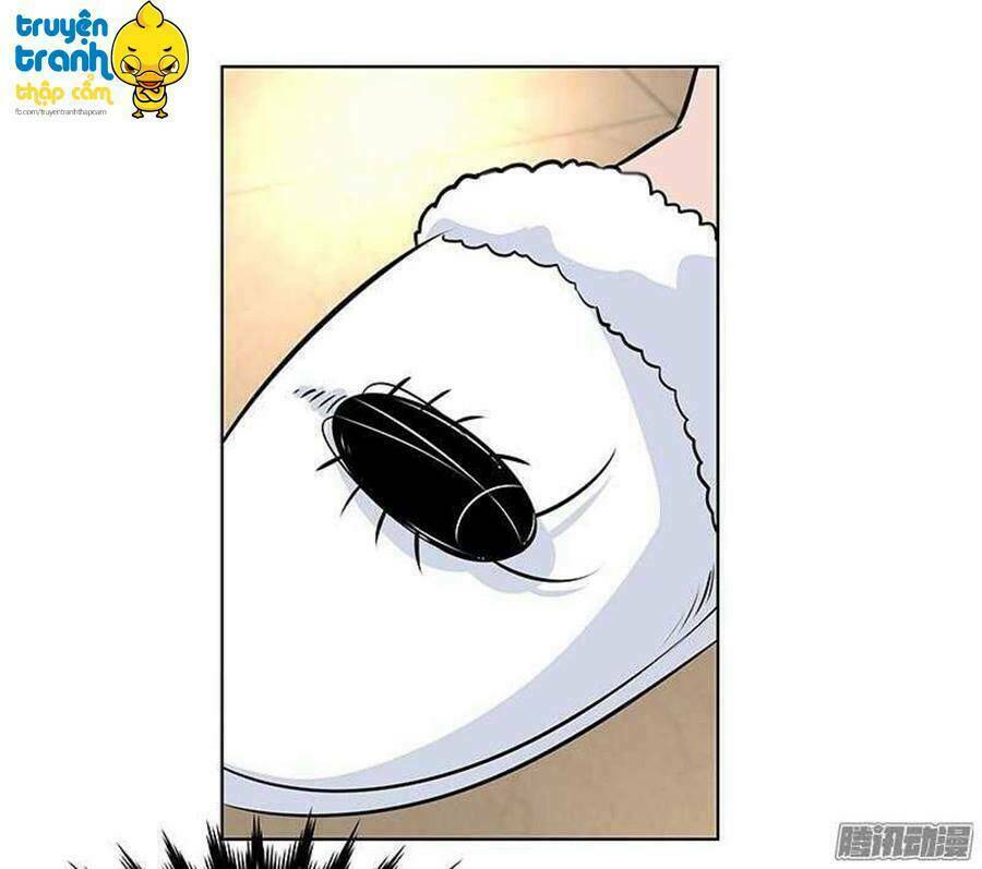 cường sủng hào môn tiểu manh thê chapter 24 31