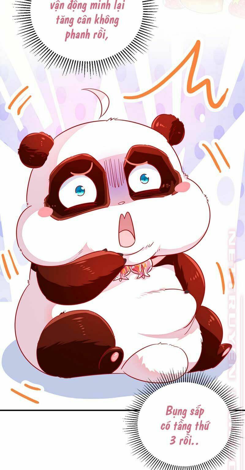 thiên thần gấu trúc muốn được ôm chapter 59 5