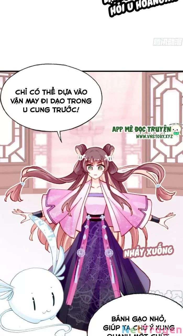 lại bị bệnh chiều chuộng quấn lấy chapter 33 28