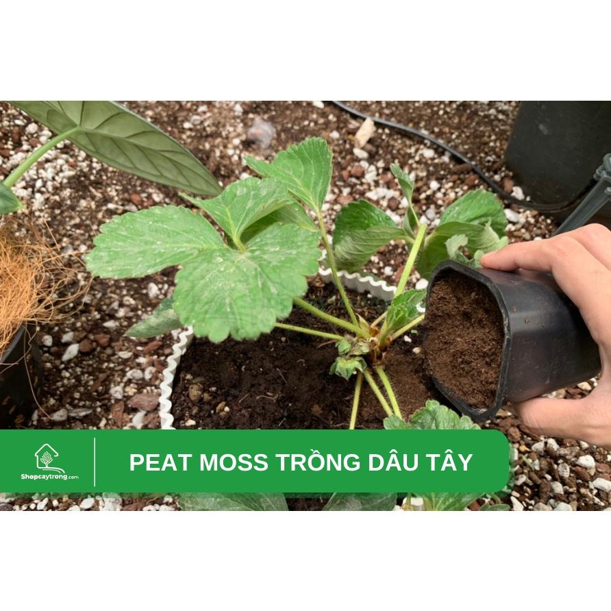 Giá thể trồng cây từ than mùn cao cấp Peat Moss 1kg thích hợp trồng cây sen đá, xương rồng,...
