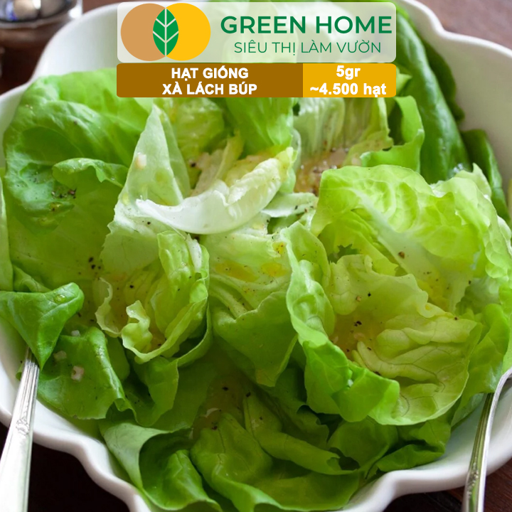 Hạt Giống Xà Lách Búp Greenhome, Gói 5gr~4500 hạt, Dễ Trồng Quanh Năm, Thu Hoạch Nhanh, Năng Suất Cao R20