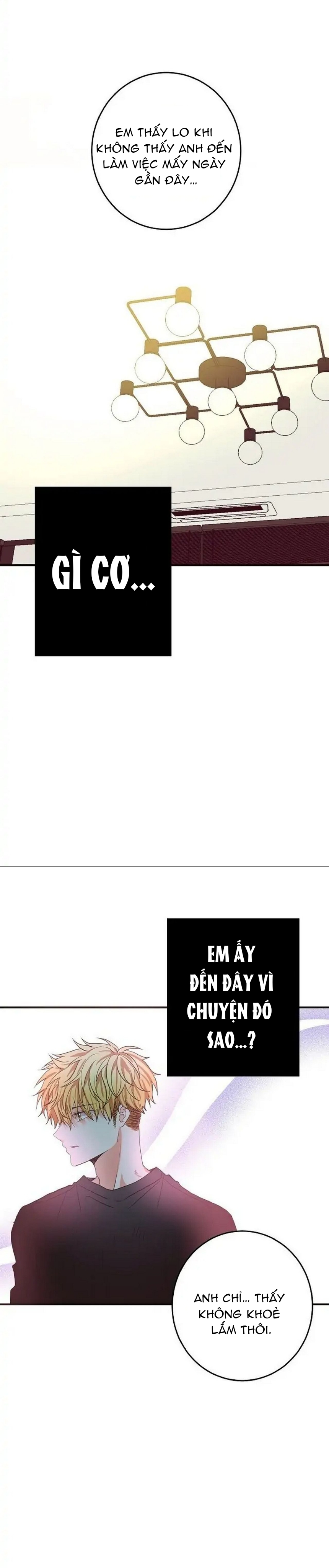 mối quan hệ phù hợp chapter 18 20