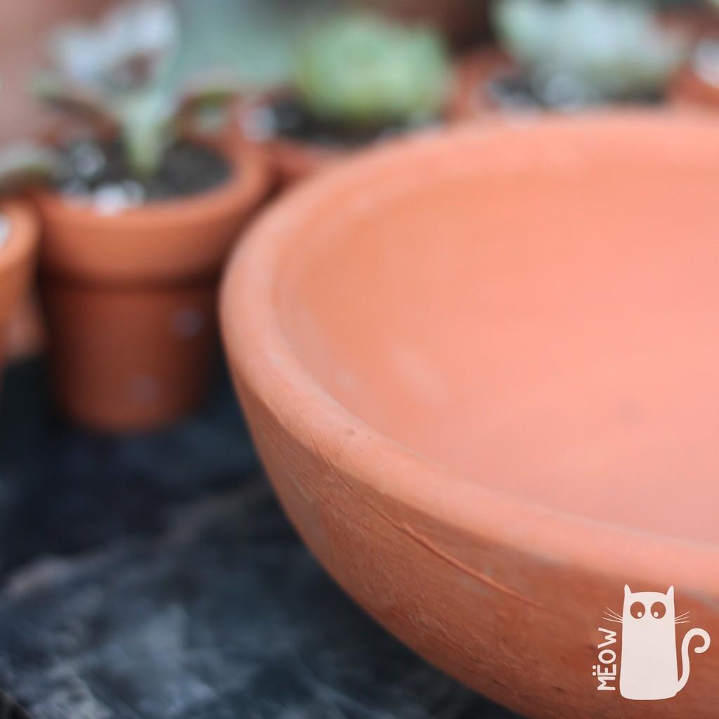 Chậu đất nung Chảo lớn 17x6cm | Chậu trồng sen đá, xương rồng, các loại cây mọng nước