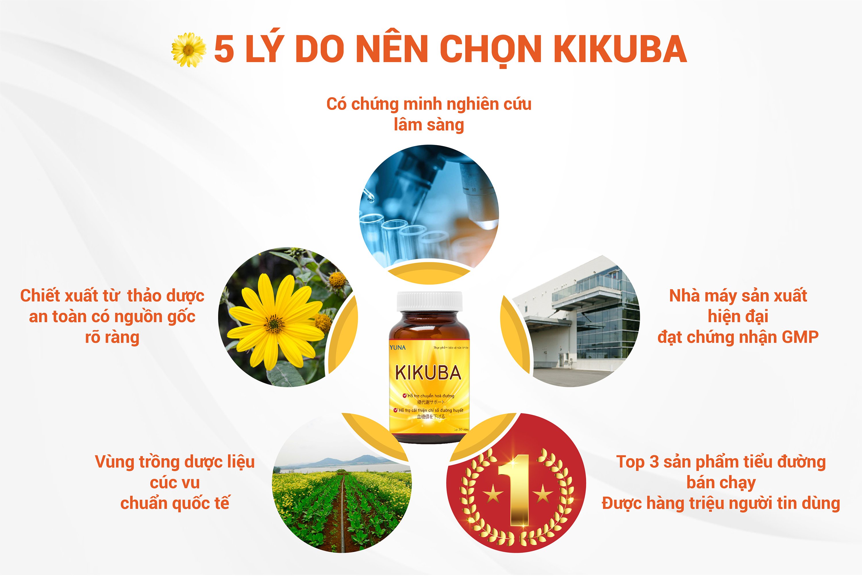 Viên uống tiểu đường Kikuba
